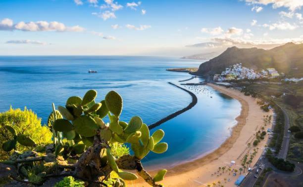 Modern Sea View Apartment Near Playa Las Americas Beach Playa de las Americas  Eksteriør bilde